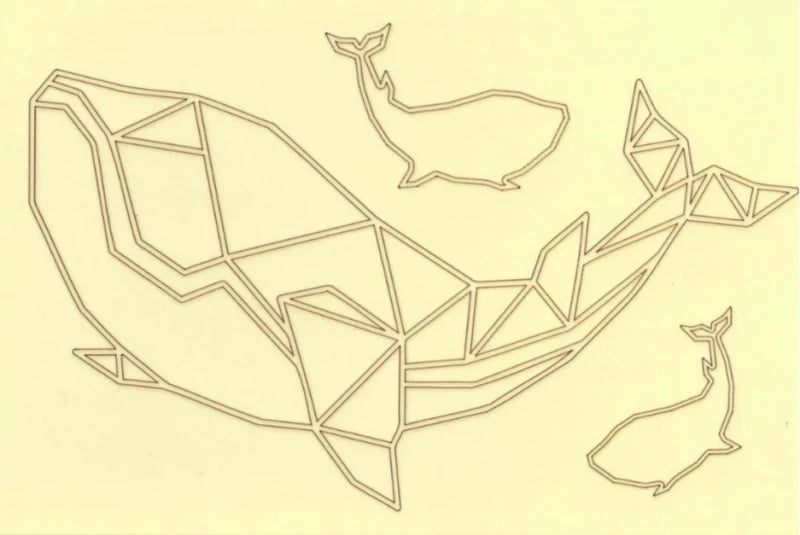 Starter Ozean